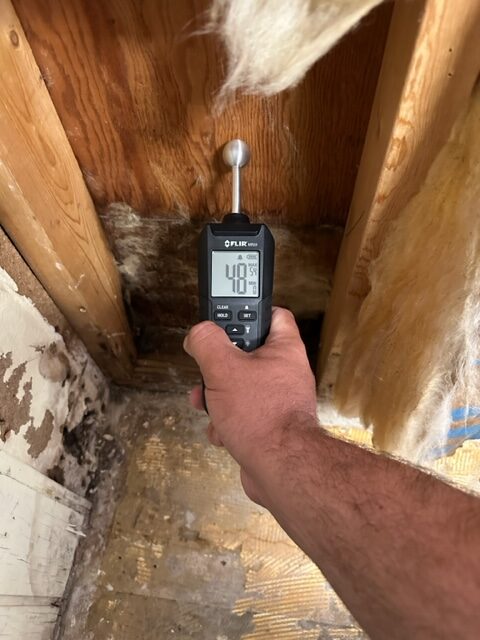 Mold Testing in Ft Myers