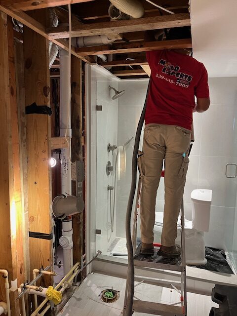 Mold removal taking place inside of home