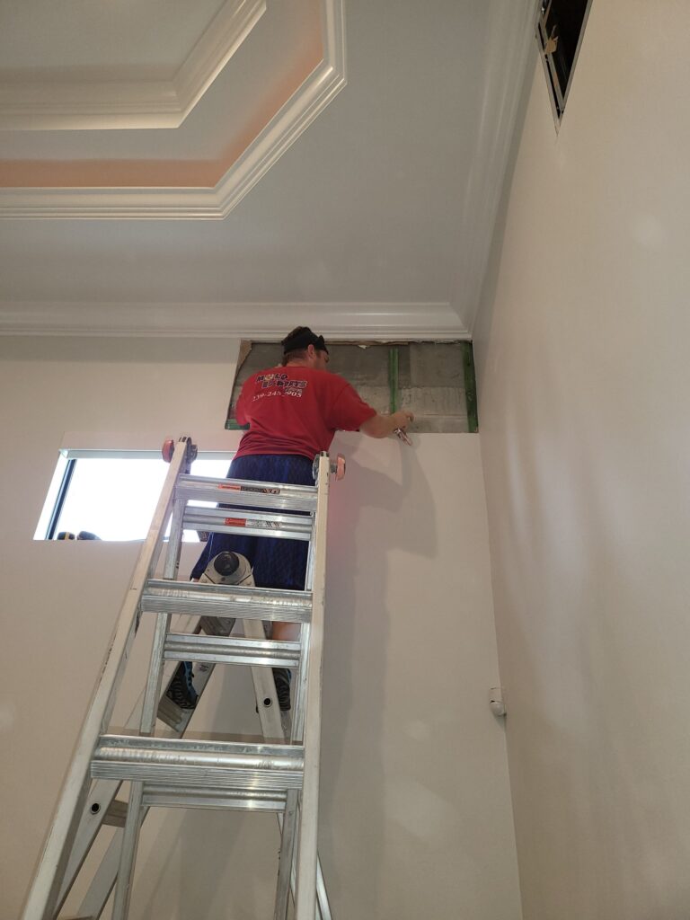 Mold Inspection Estero