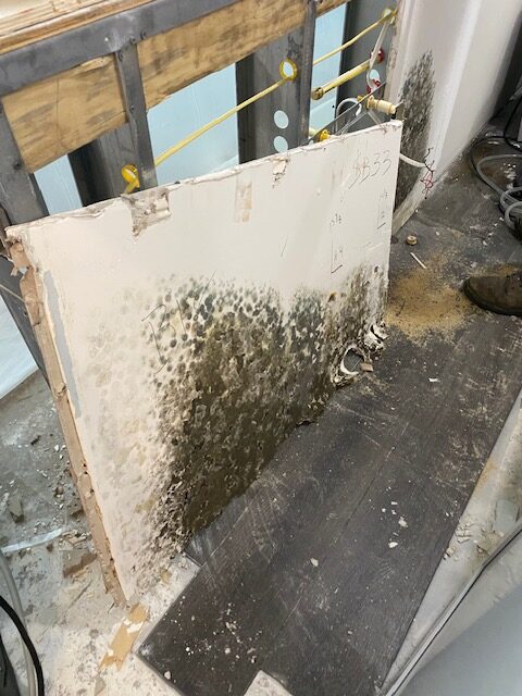 Mold area for removal