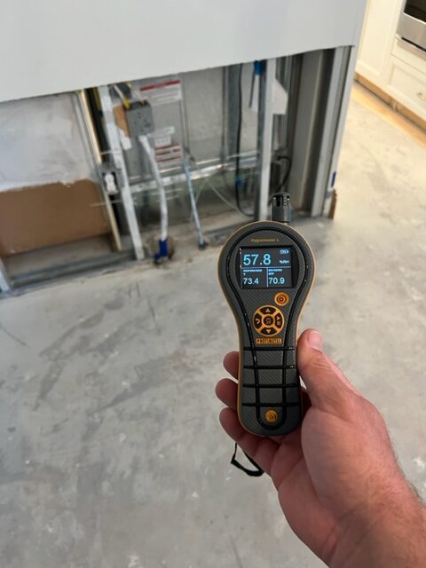 Mold Inspection Naples
