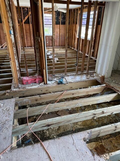 Mold Removal Sanibel