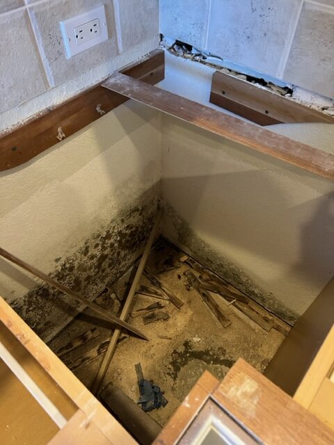 Mold Removal Estero