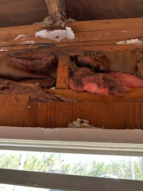 Mold Removal Sanibel