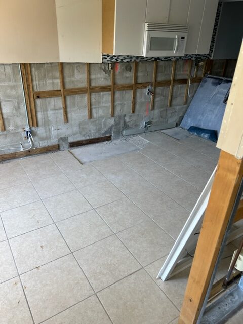 Mold Removal Behind wall Ft Myers