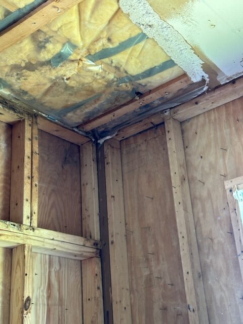 Mold Removal Sanibel Island