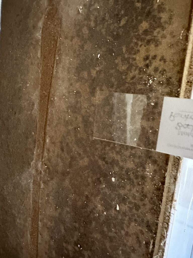 Mold Tape Slide