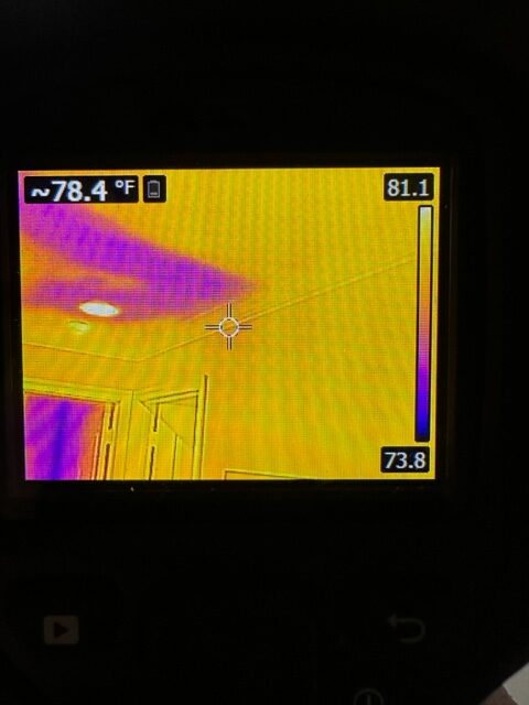 Mold Testing