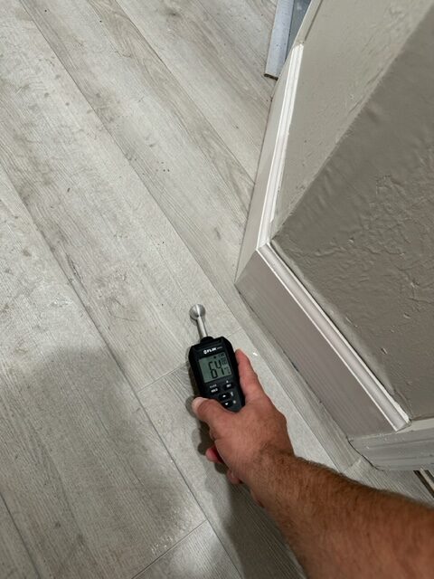 Mold Testing in Ft Myers