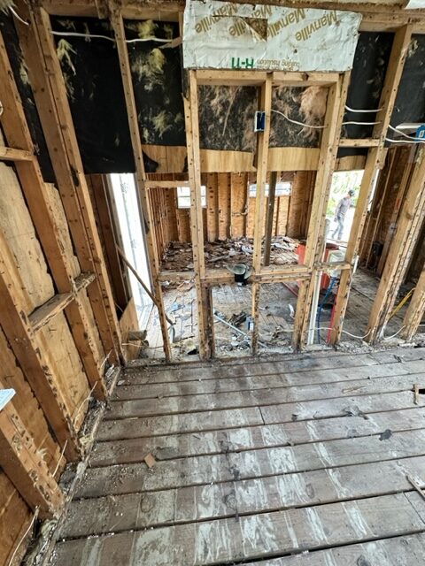 Mold Removal Sanibel