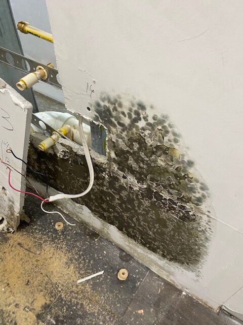 Moldy Drywall being removed