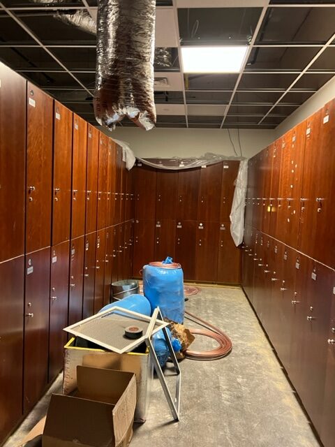 Mold Remediation Naples